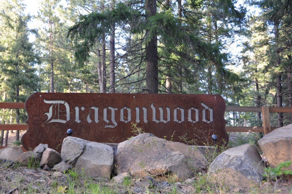 DWsign2011